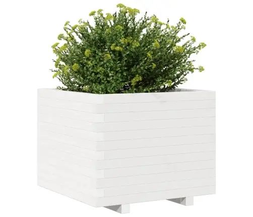 Dārza Puķu Kaste, Balta, 60X60X49,5 Cm, Priedes Masīvkoks Vidaxl