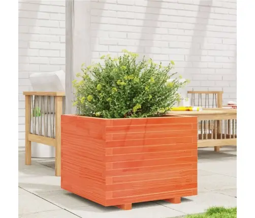 Dārza Puķu Kaste, Vaska Brūnas, 60X60X49,5Cm, Priedes Masīvkoks Vidaxl