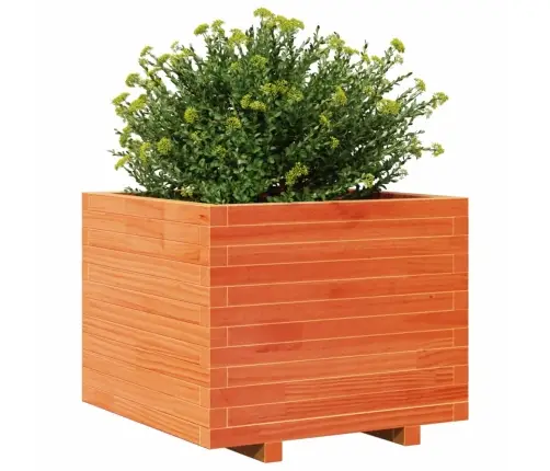 Dārza Puķu Kaste, Vaska Brūnas, 60X60X49,5Cm, Priedes Masīvkoks Vidaxl
