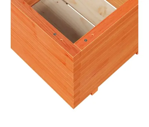 Dārza Puķu Kaste, Vaska Brūnas, 60X60X49,5Cm, Priedes Masīvkoks Vidaxl