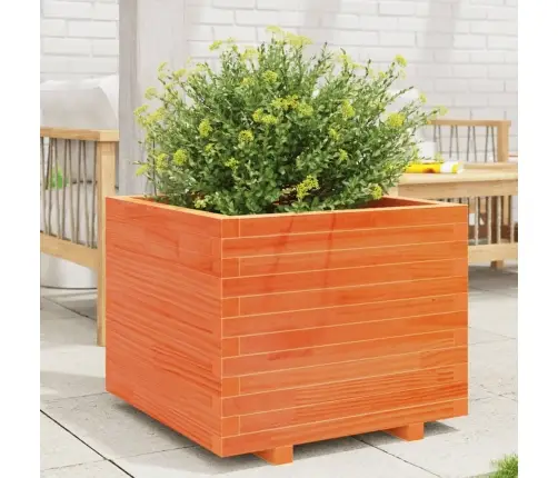 Dārza Puķu Kaste, Vaska Brūnas, 60X60X49,5Cm, Priedes Masīvkoks Vidaxl