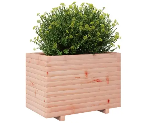 Aia Taimekast, 70X40X49,5 cm Ebatsuuga Puit