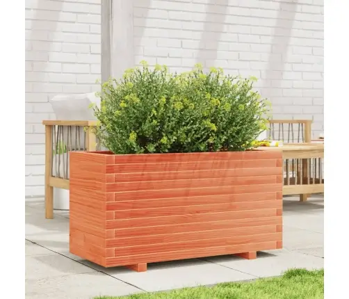 Aia Taimekast, Vahapruun, 90X40X49,5 cm Männipuit