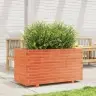 Aia Taimekast, Vahapruun, 90X40X49,5 cm Männipuit