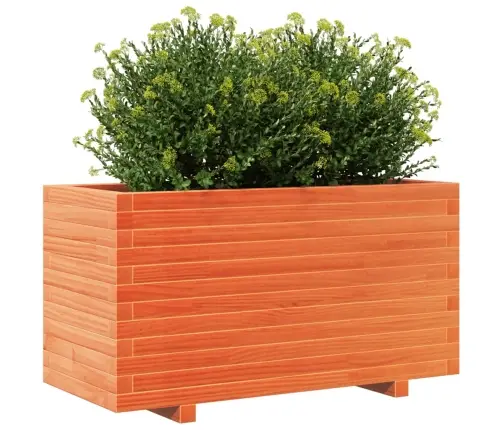 Aia Taimekast, Vahapruun, 90X40X49,5 cm Männipuit