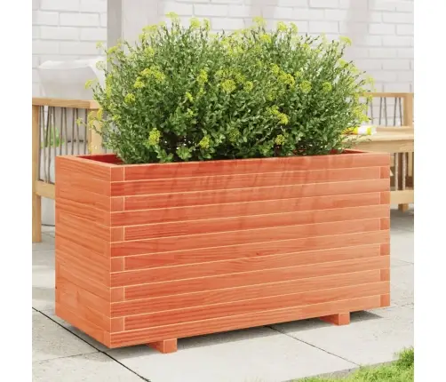 Aia Taimekast, Vahapruun, 90X40X49,5 cm Männipuit