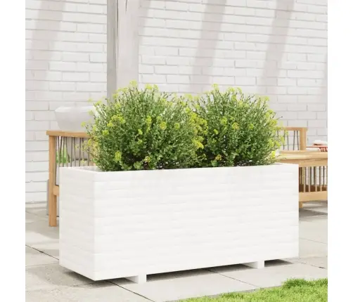 Aia Taimekast, Valge, 110X40X49,5 cm Männipuit