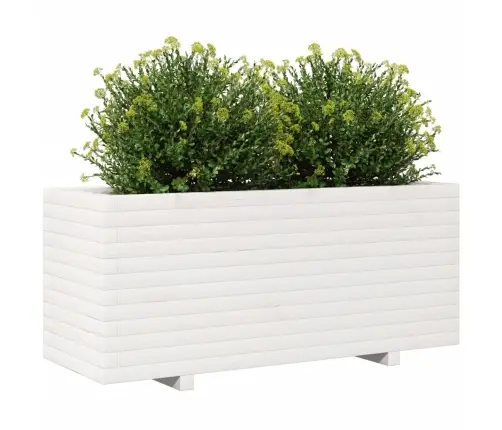 Aia Taimekast, Valge, 110X40X49,5 cm Männipuit
