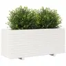 Aia Taimekast, Valge, 110X40X49,5 cm Männipuit