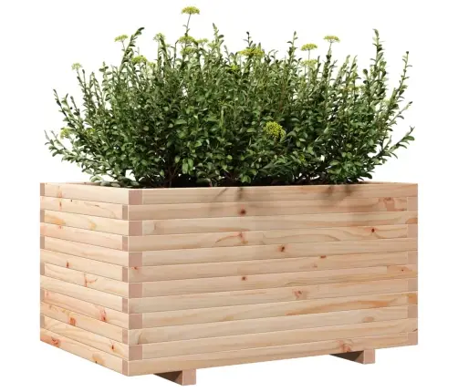 Sodo Lovelis, 90X60X49,5cm Pušies Medienos Masyvas