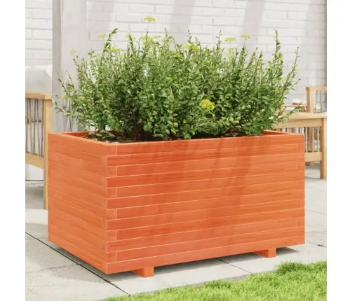 Aia Taimekast, Vahapruun, 90X60X49,5 cm Männipuit