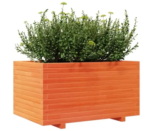 Aia Taimekast, Vahapruun, 90X60X49,5 cm Männipuit