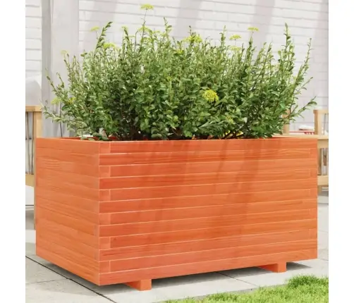 Aia Taimekast, Vahapruun, 90X60X49,5 cm Männipuit