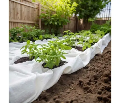 Ģeotekstila Membrāna, Balta, 1 X 50 M, Poliestera Šķiedra Vidaxl