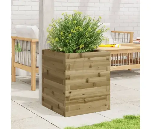 Aia Taimekast, 40X40X46 M, Immutatud Männipuit