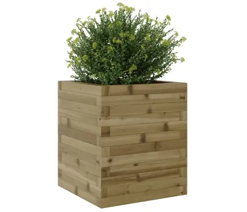 Aia Taimekast, 40X40X46 M, Immutatud Männipuit