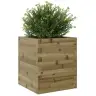 Aia Taimekast, 40X40X46 M, Immutatud Männipuit
