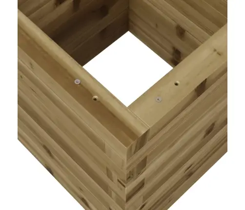 Aia Taimekast, 40X40X46 M, Immutatud Männipuit