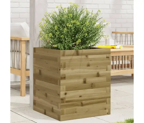 Aia Taimekast, 40X40X46 M, Immutatud Männipuit