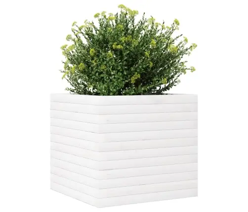 Dārza Puķu Kaste, Balta, 50X50X46 Cm, Priedes Masīvkoks Vidaxl