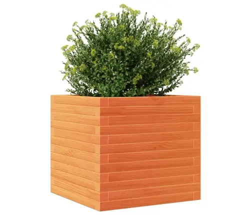 Dārza Puķu Kaste, Vaska Brūnas, 50X50X46 Cm, Priedes Masīvkoks Vidaxl