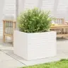 Aia Taimekast, Valge, 60 X 60 X 46 cm Männipuit