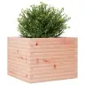 Dārza Puķu Kaste, 60X60X46 Cm, Duglasa Egles Masīvkoks Vidaxl