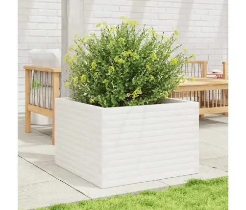 Aia Taimekast, Valge, 70X70X46 cm Männipuit