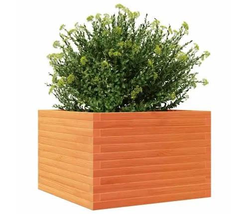 Dārza Puķu Kaste, Vaska Brūnas, 70X70X46 Cm Priedes Masīvkoks Vidaxl