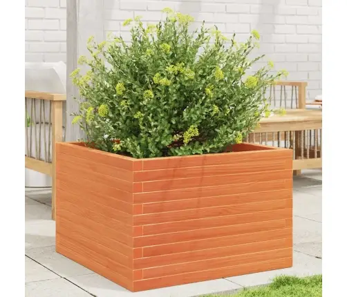 Dārza Puķu Kaste, Vaska Brūnas, 70X70X46 Cm Priedes Masīvkoks Vidaxl