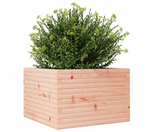 Aia Taimekast, 70X70X46 cm Ebatsuuga Puit