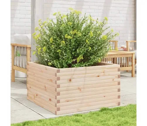 Aia Taimekast, 80X80X46 cm Männipuit