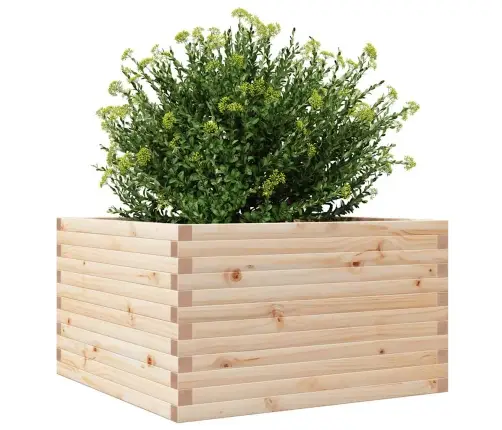 Aia Taimekast, 80X80X46 cm Männipuit