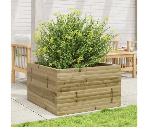 Aia Taimekast, 80X80X46 cm Immutatud Männipuit