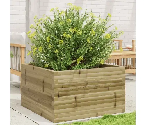 Aia Taimekast, 80X80X46 cm Immutatud Männipuit