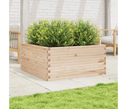 Aia Taimekast, 100X100X46 cm Männipuit