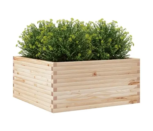 Aia Taimekast, 100X100X46 cm Männipuit