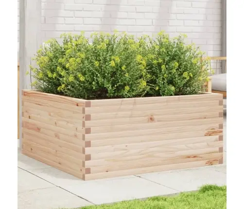 Aia Taimekast, 100X100X46 cm Männipuit