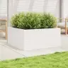 Dārza Puķu Kaste, Balta, 100X100X46 Cm, Priedes Masīvkoks Vidaxl
