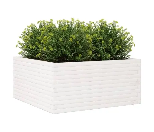 Dārza Puķu Kaste, Balta, 100X100X46 Cm, Priedes Masīvkoks Vidaxl