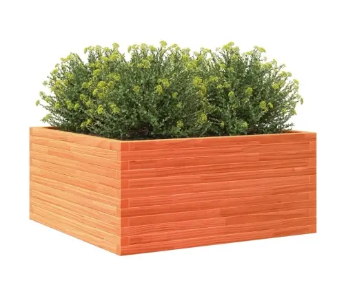 Dārza Puķu Kaste, Vaska Brūnas, 100X100X46 Cm Priedes Masīvkoks Vidaxl