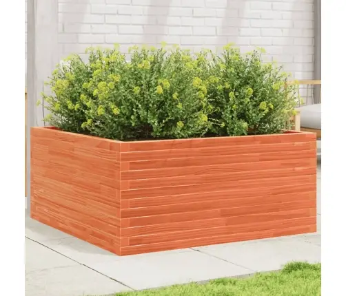 Dārza Puķu Kaste, Vaska Brūnas, 100X100X46 Cm Priedes Masīvkoks Vidaxl