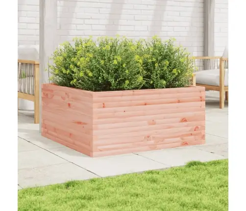 Sodo Lovelis, 100X100X46cm Douglas Eglės Medienos Masyvas