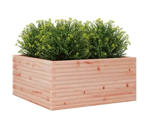 Sodo Lovelis, 100X100X46cm Douglas Eglės Medienos Masyvas