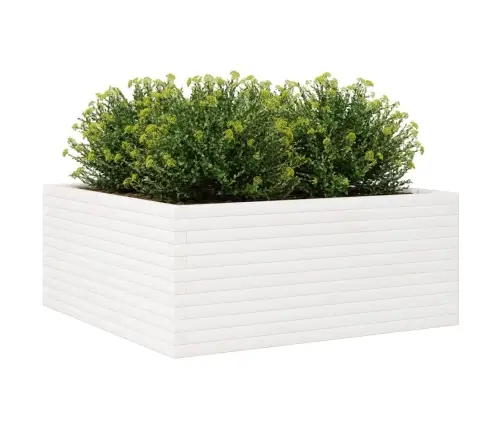 Dārza Puķu Kaste, Balta, 110X110X46 Cm, Priedes Masīvkoks Vidaxl