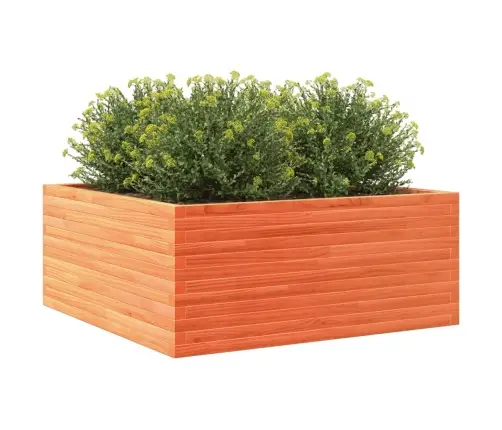 Dārza Puķu Kaste, Vaska Brūnas, 110X110X46 Cm Priedes Masīvkoks Vidaxl