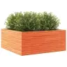 Dārza Puķu Kaste, Vaska Brūnas, 110X110X46 Cm Priedes Masīvkoks Vidaxl