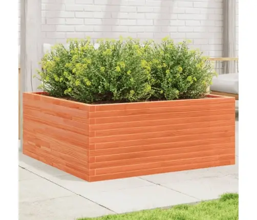 Dārza Puķu Kaste, Vaska Brūnas, 110X110X46 Cm Priedes Masīvkoks Vidaxl