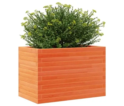 Dārza Puķu Kaste, Vaska Brūnas, 70X40X46 Cm, Priedes Masīvkoks Vidaxl