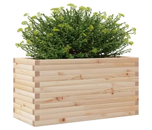 Aia Taimekast, 90 X 40 X 46 cm Männipuit